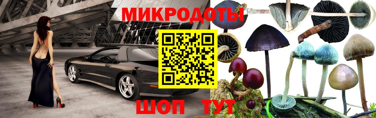 Галлюциногенные грибы Psilocybe Кохма
