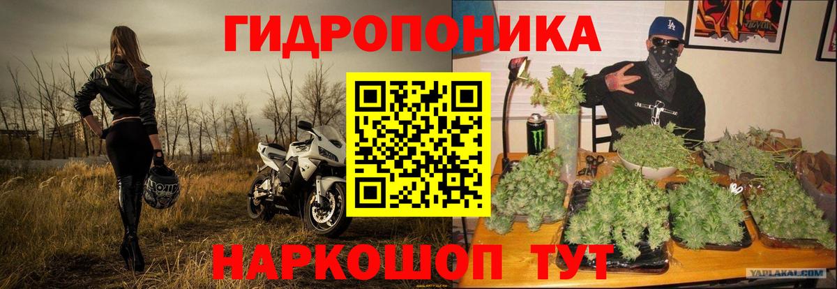 Кохма  Бошки Шишки сатива  Бошки Шишки сатива  Бошки марихуана сатива  Вход с VPN  Шишки марихуана AK-47 
